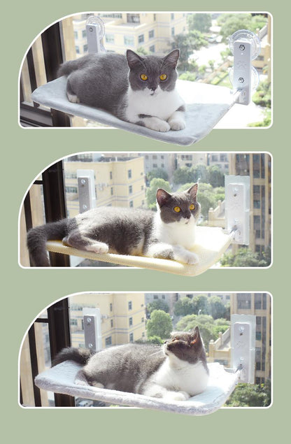 Buy Pet Cat Suction Cup Window Hammock – Comfortable Hammock