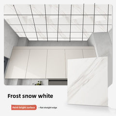 Frost Snow