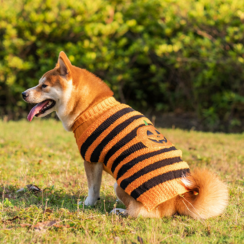 Buy Halloween Dog Sweater Teddy Costume Warm Pet Outfit Online