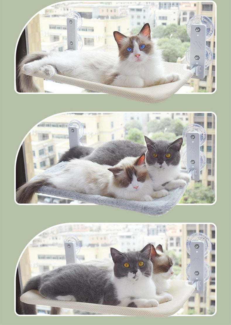 Buy Pet Cat Suction Cup Window Hammock – Comfortable Hammock