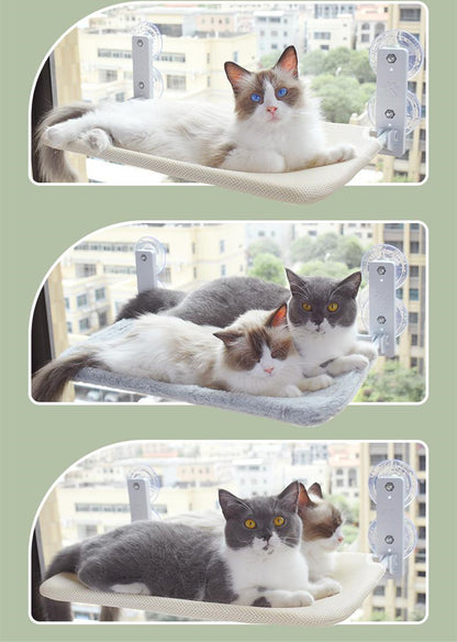 Buy Pet Cat Suction Cup Window Hammock – Comfortable Hammock