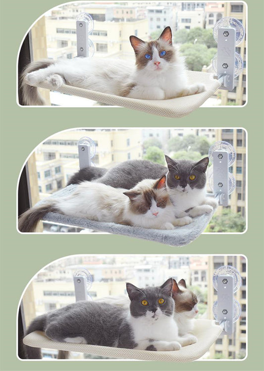 Buy Pet Cat Suction Cup Window Hammock – Comfortable Hammock