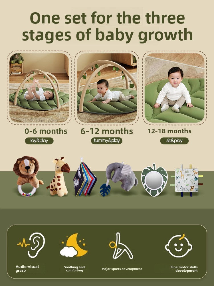 Baby Play Gym