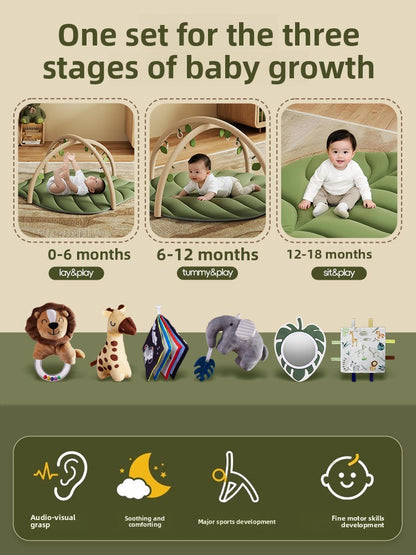 Baby Play Gym