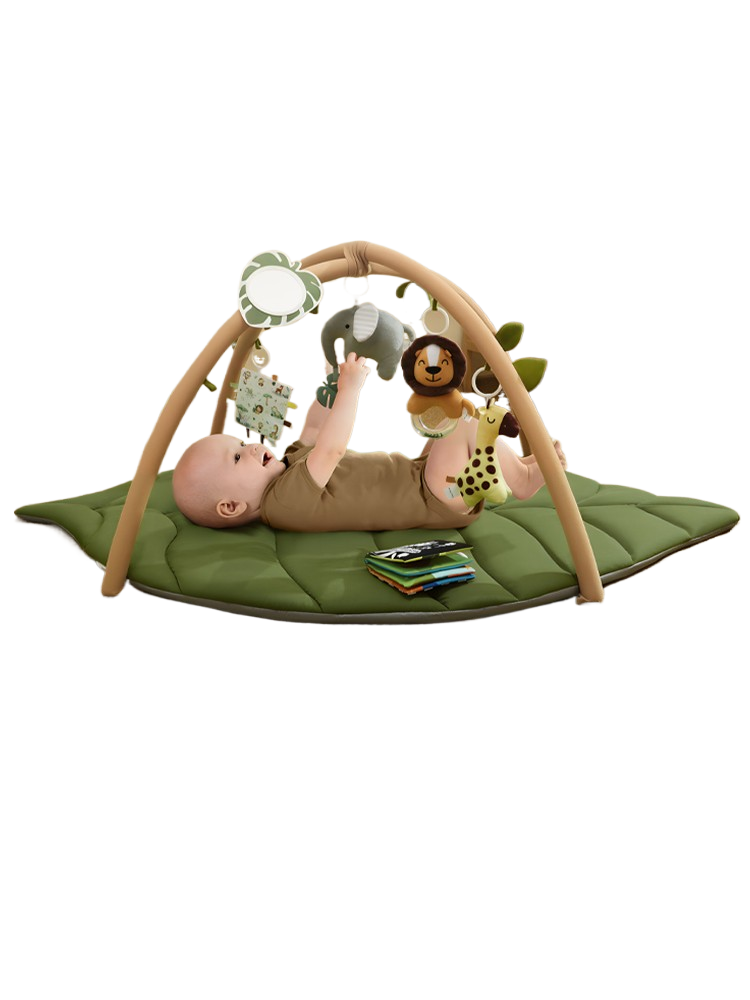 Baby Play Gym