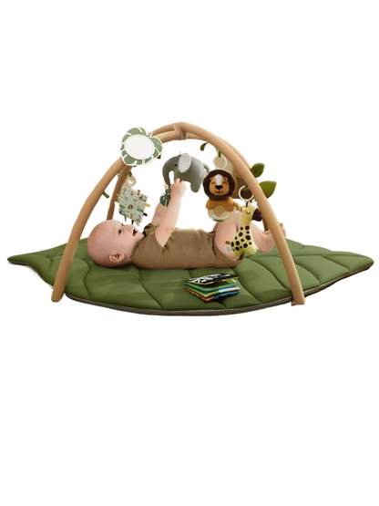 Baby Play Gym