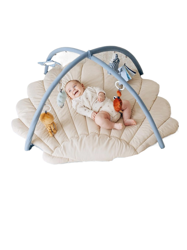 Baby Play Gym