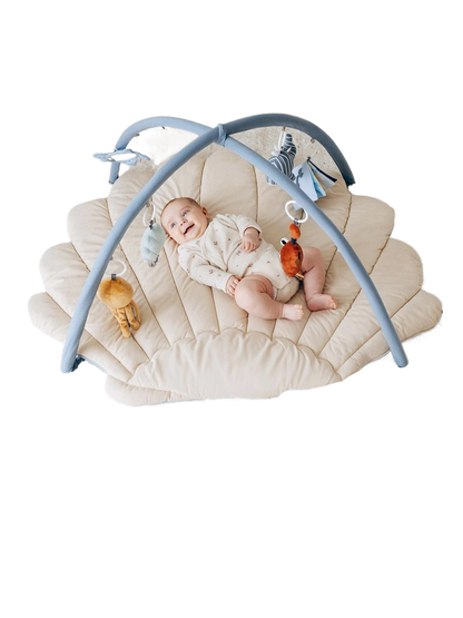 Baby Play Gym