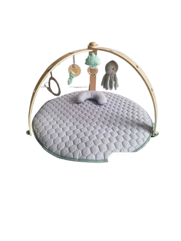 Baby Play Gym