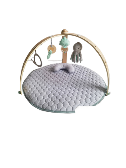 Baby Play Gym