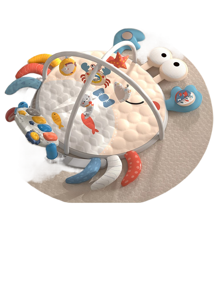 Baby Play Gym