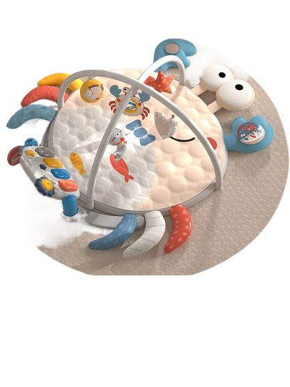 Baby Play Gym