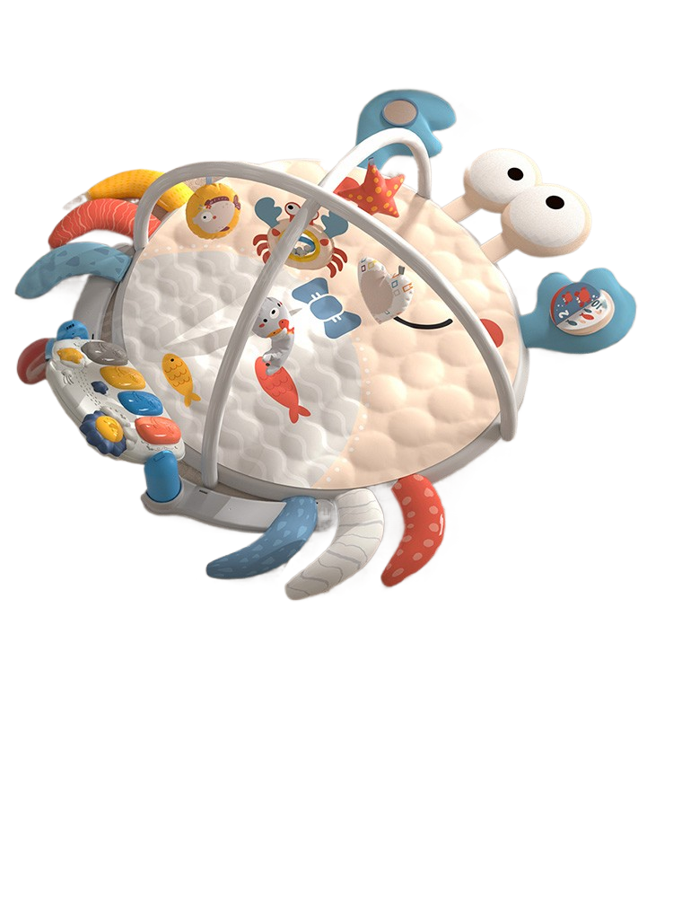 Baby Play Gym