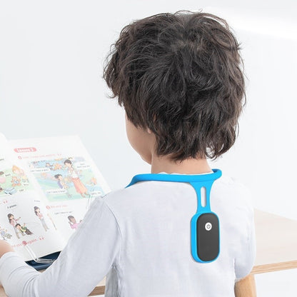 Back corrector