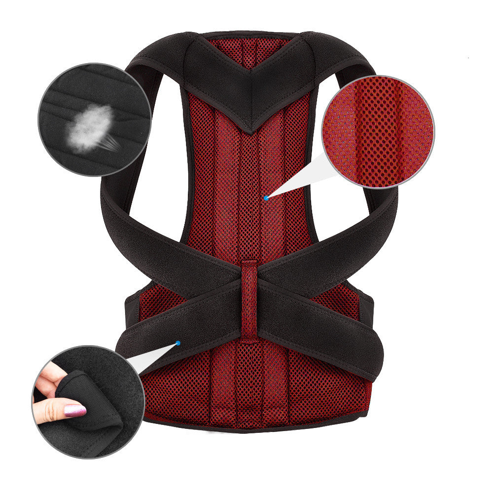 Back Support Strap