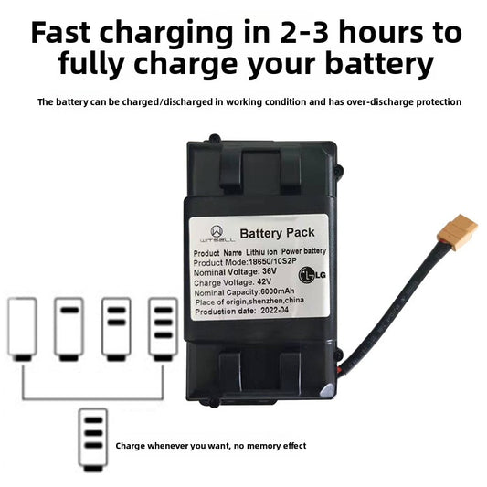 Balance Scooter Lithium Battery