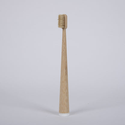 Bamboo and wood toothbrush