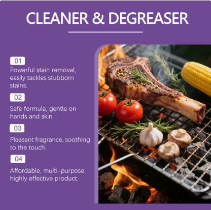 Barbecue grill rack cleaner