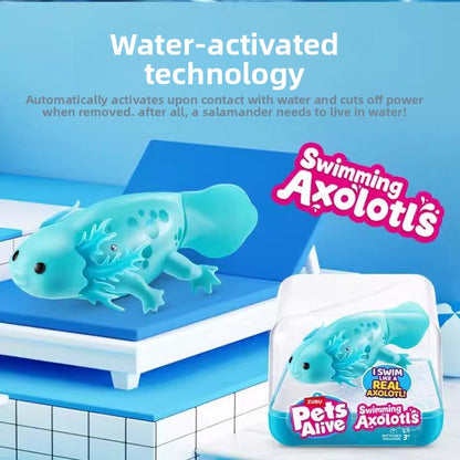 Bath toys