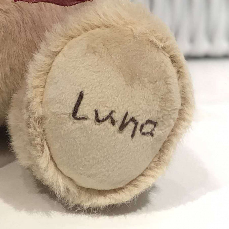 bear clothes
