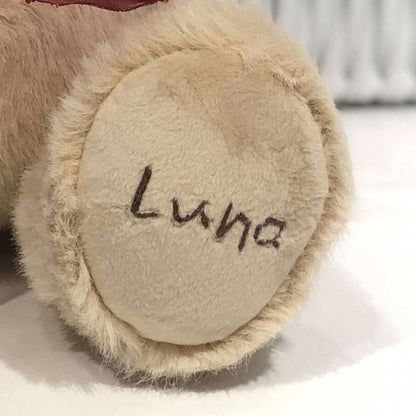 bear clothes