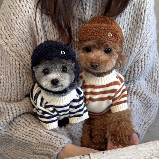 Bear Stripes Sweater
