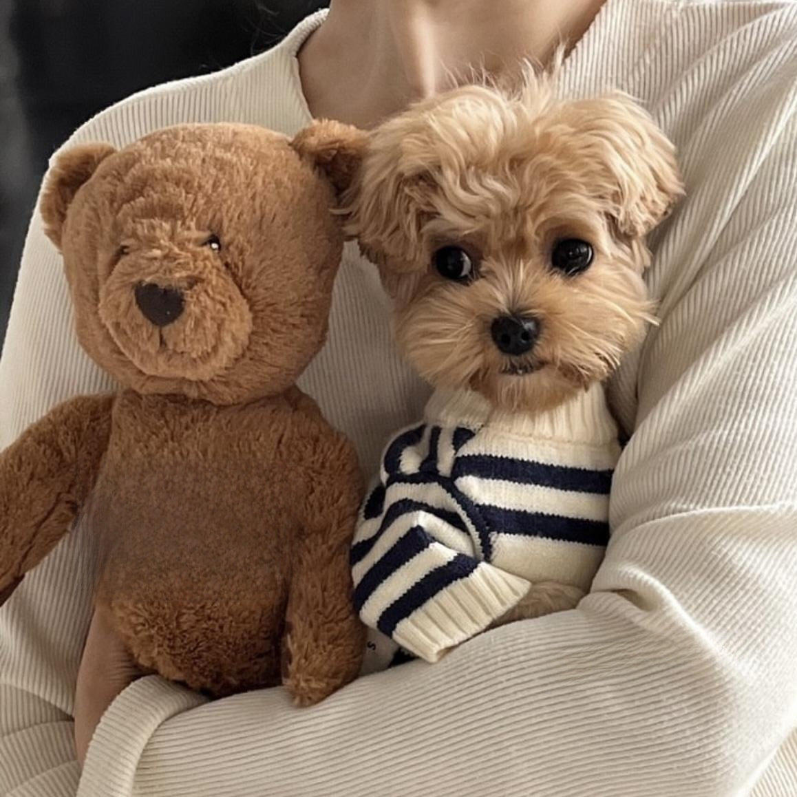 Bear Stripes Sweater