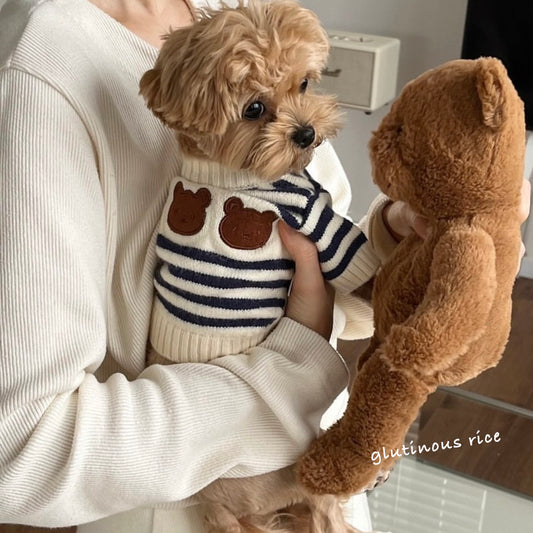 Bear Stripes Sweater