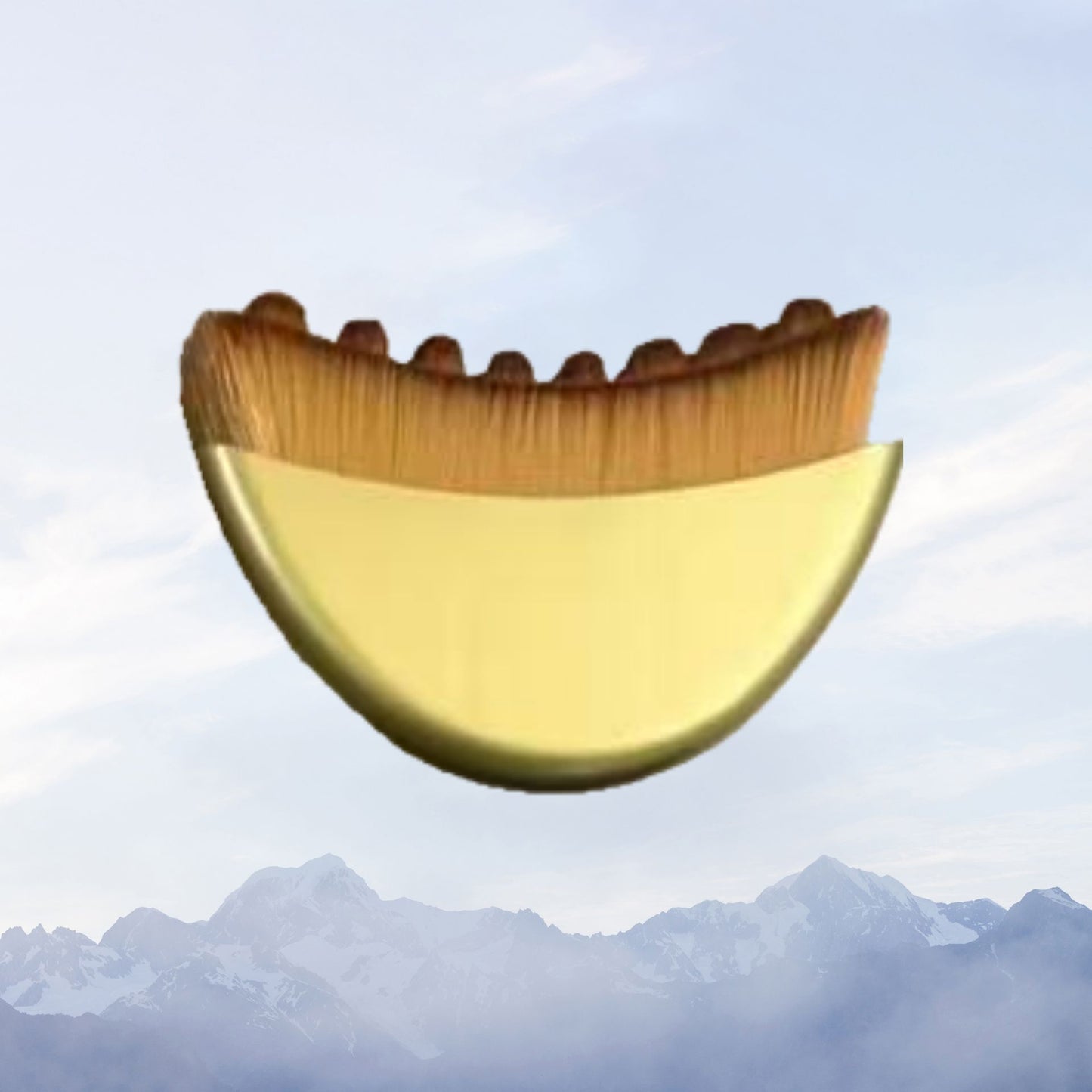 beauty brush