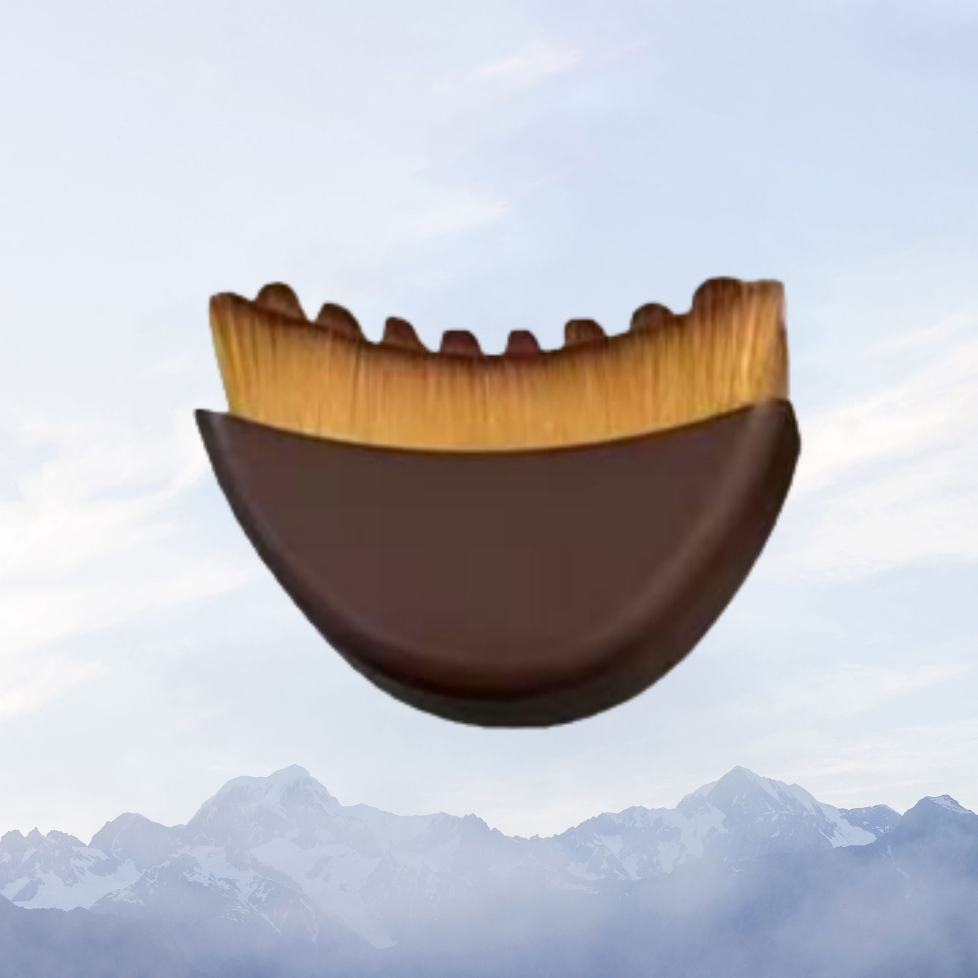 beauty brush
