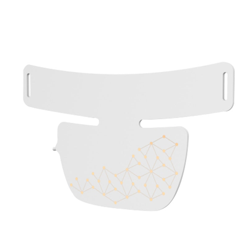 Beauty Skin Instrument