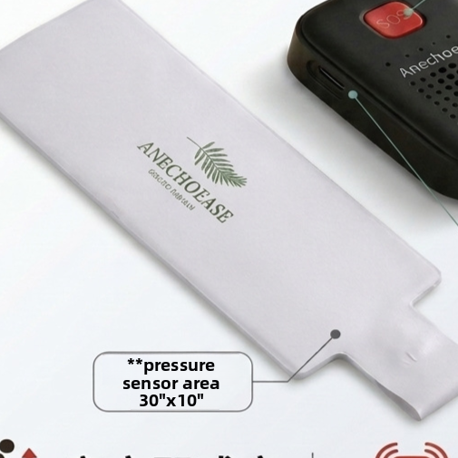 Bed Exit Alarm