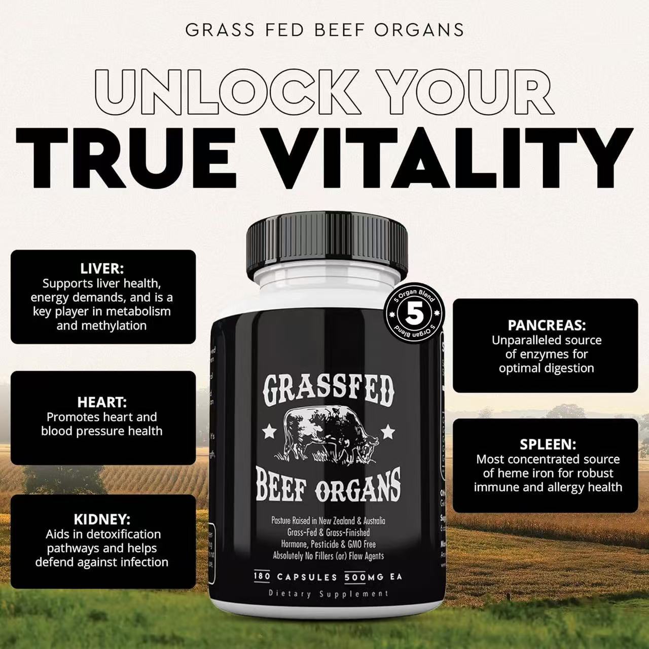 Beef Liver Capsules