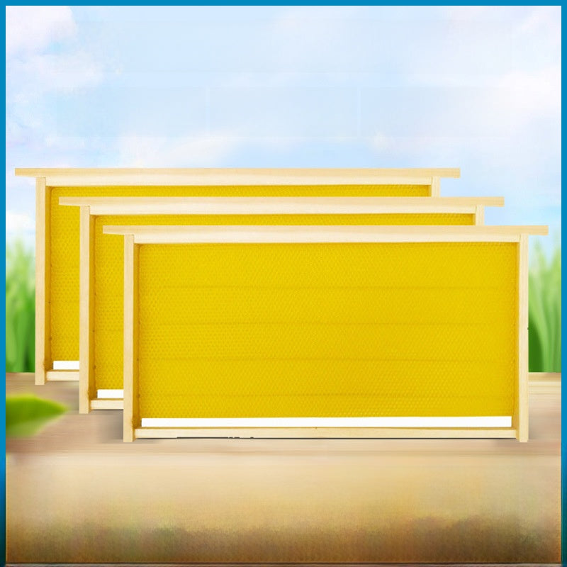 Beehive Frame with Foundation
