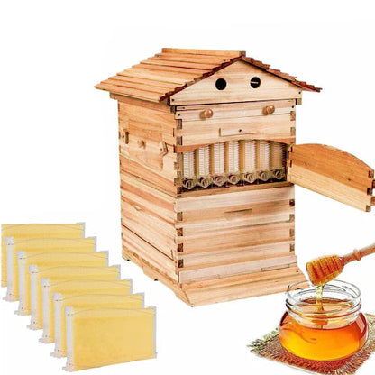 Beekeeping Hive and Foundation Set
