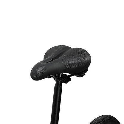 Bicycle cushion