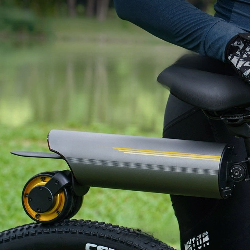 Bicycle electric booster