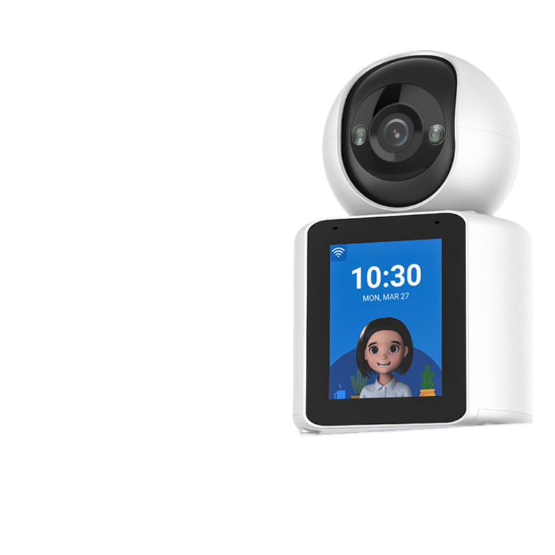 Bidirectional video call camera