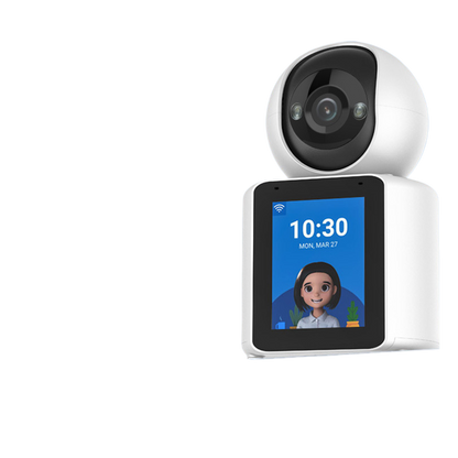 Bidirectional video call camera