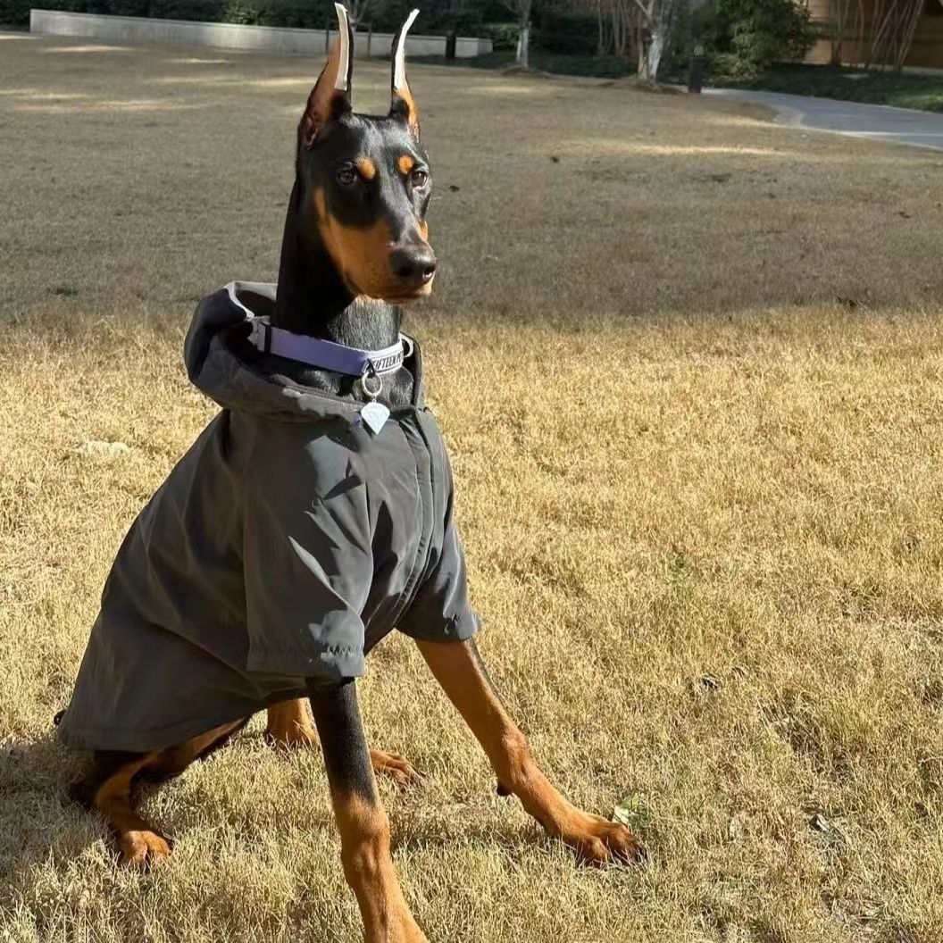 Big Dog Charge Clothes