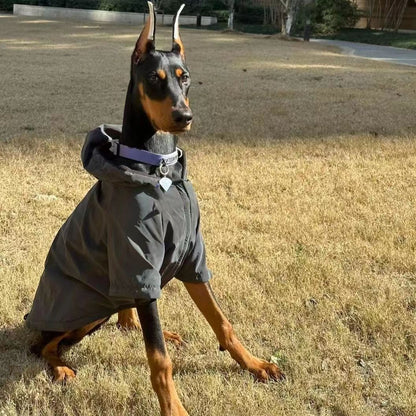 Big Dog Charge Clothes