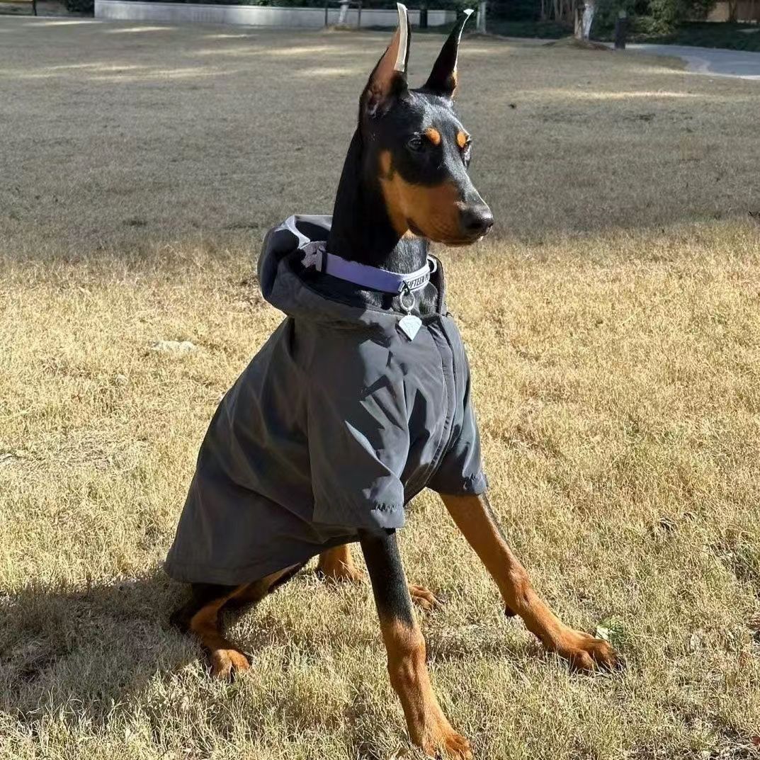 Big Dog Charge Clothes