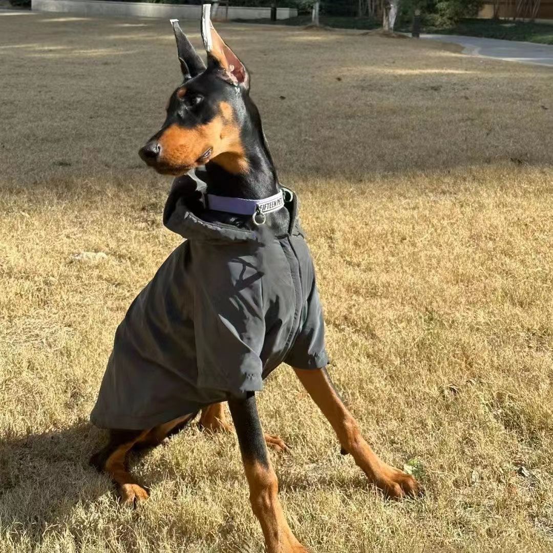 Big Dog Charge Clothes