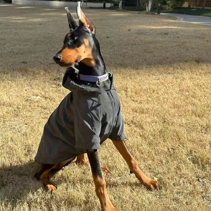 Big Dog Charge Clothes