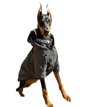 Big Dog Charge Clothes