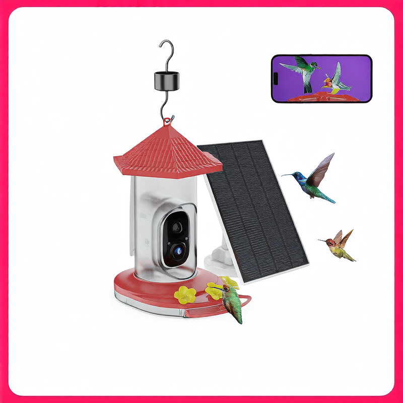 bird feeder camera
