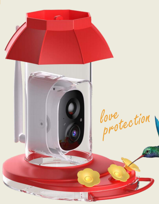 bird feeder camera