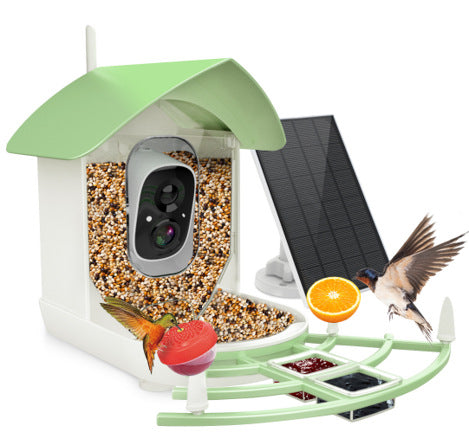bird feeder camera