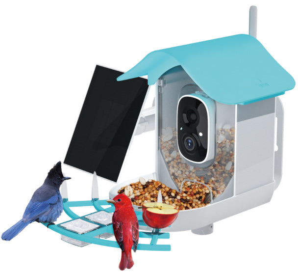 bird feeder camera