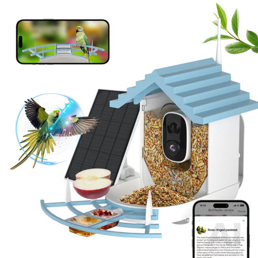 bird feeder camera